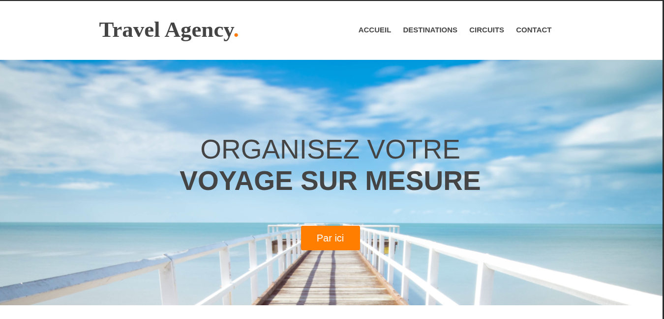 Travel-Agency project preview