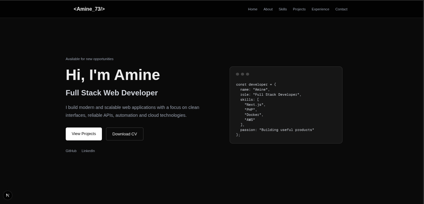 developer-portfolio project preview